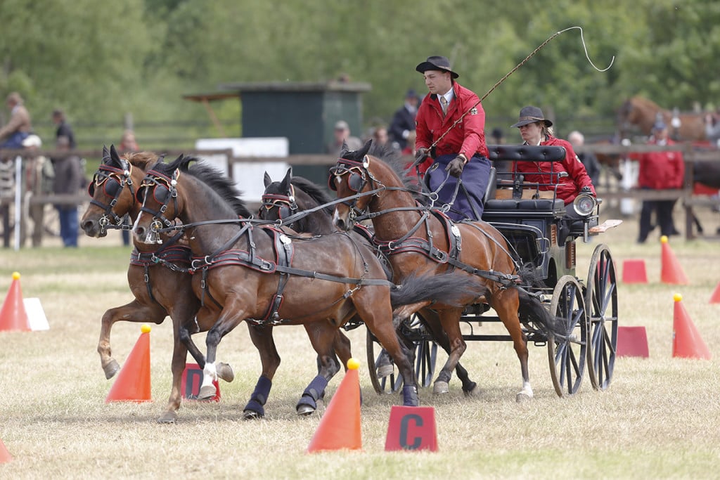 Wm Ponyfahren Deutsche Fahrer Gewinnen Drei Bronzemedaillen