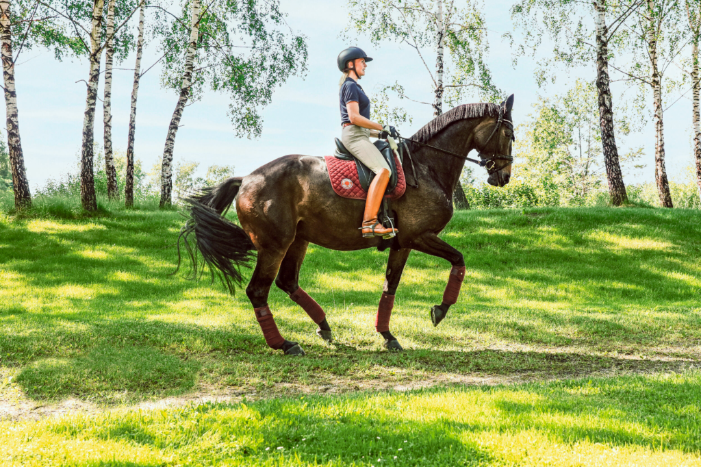 Olympia 2024 Jessica von Bredow Werndl und Dalera dafür ist sie