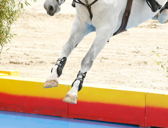 Lamprechtshausen: Grand Prix voor jonge ruiters