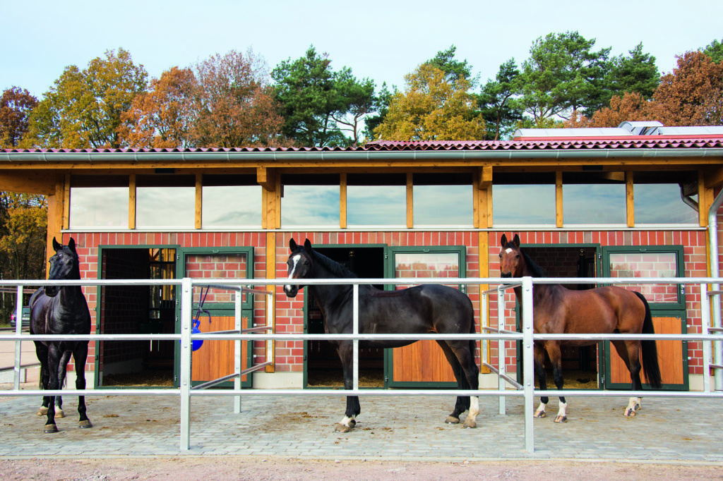 Paddockbox/Reitstall/Pferdebox outlet