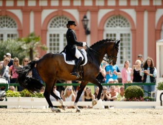 Dorothee Schneider St Georg