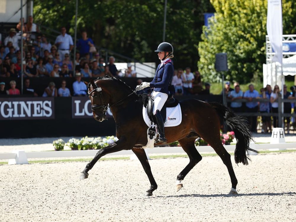 Nach Formfehler Verklagen Die Niederlande Die Fei Wegen Dressurpferd Hermes