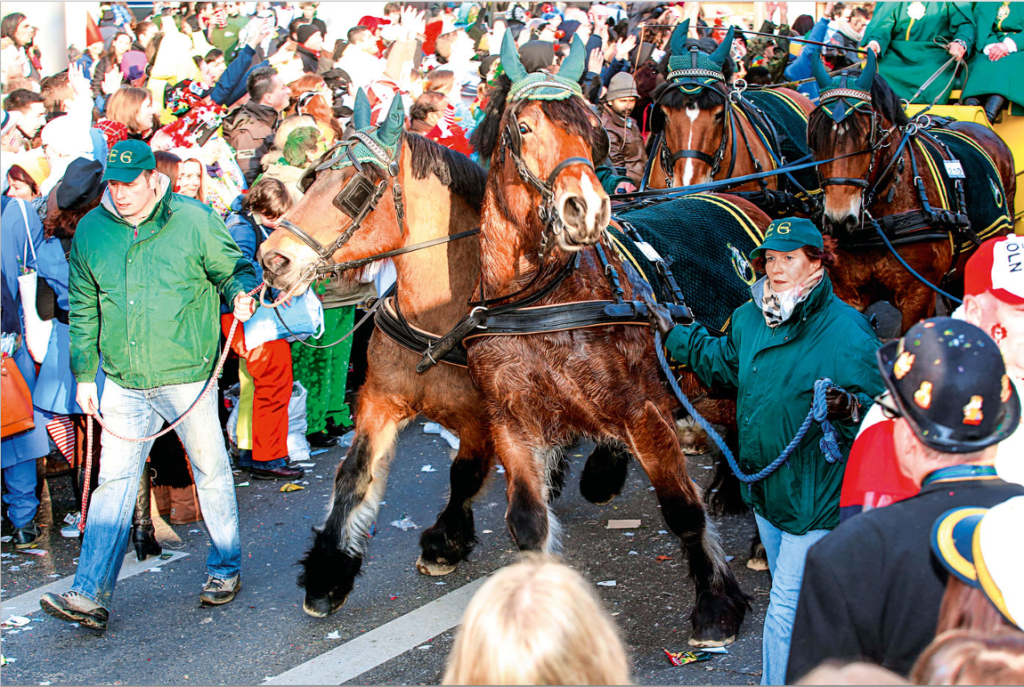 Rosenmontagszug: Drei Pferde positiv auf Beruhigungsmittel ...