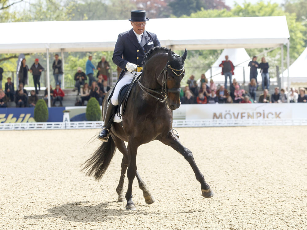 Carabas Holsteiner Grand Prix Hengst Plotzlich Verstorben