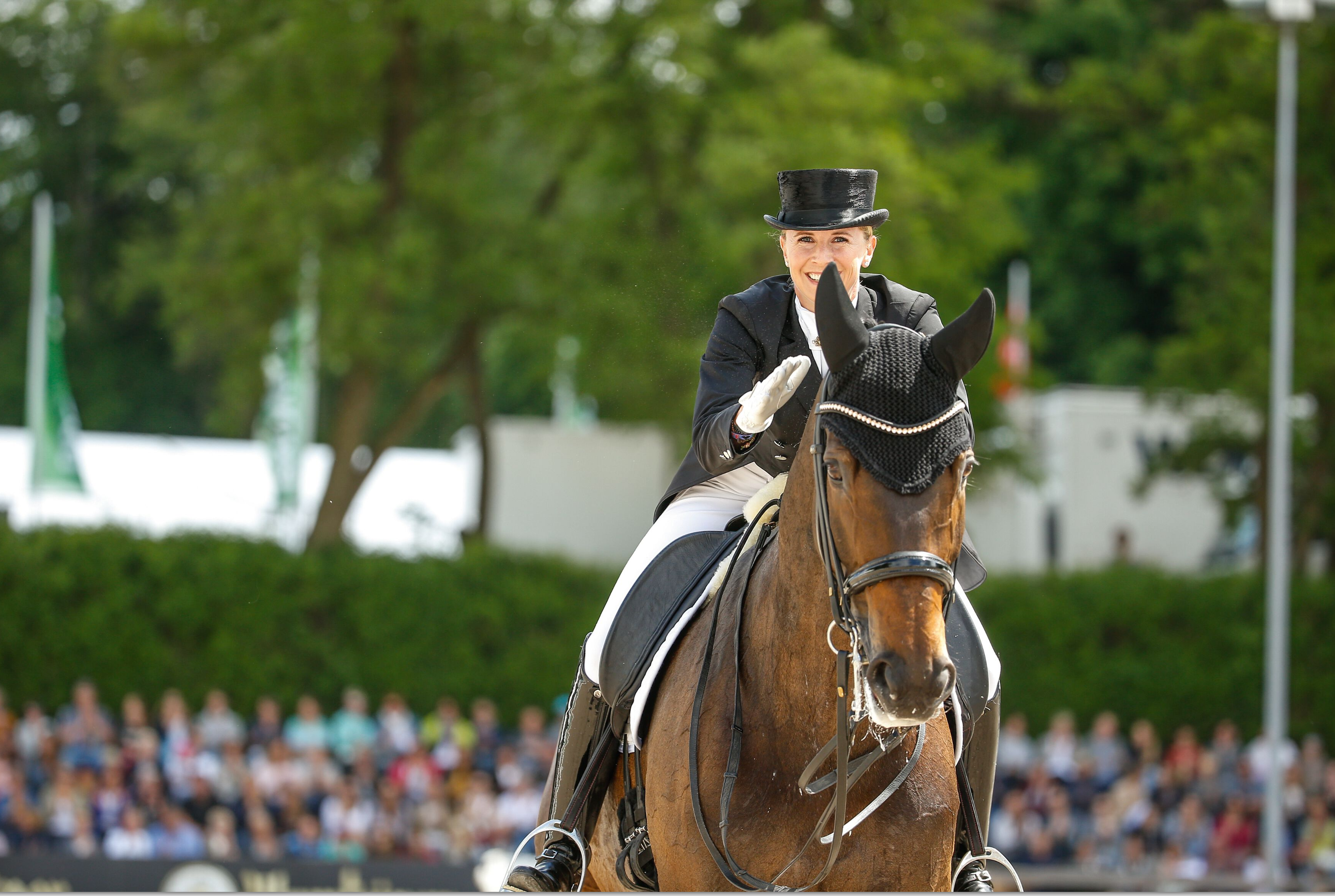 10 Dinge ber die Trakehner Goldstute Dalera Olympiasiegerin mit