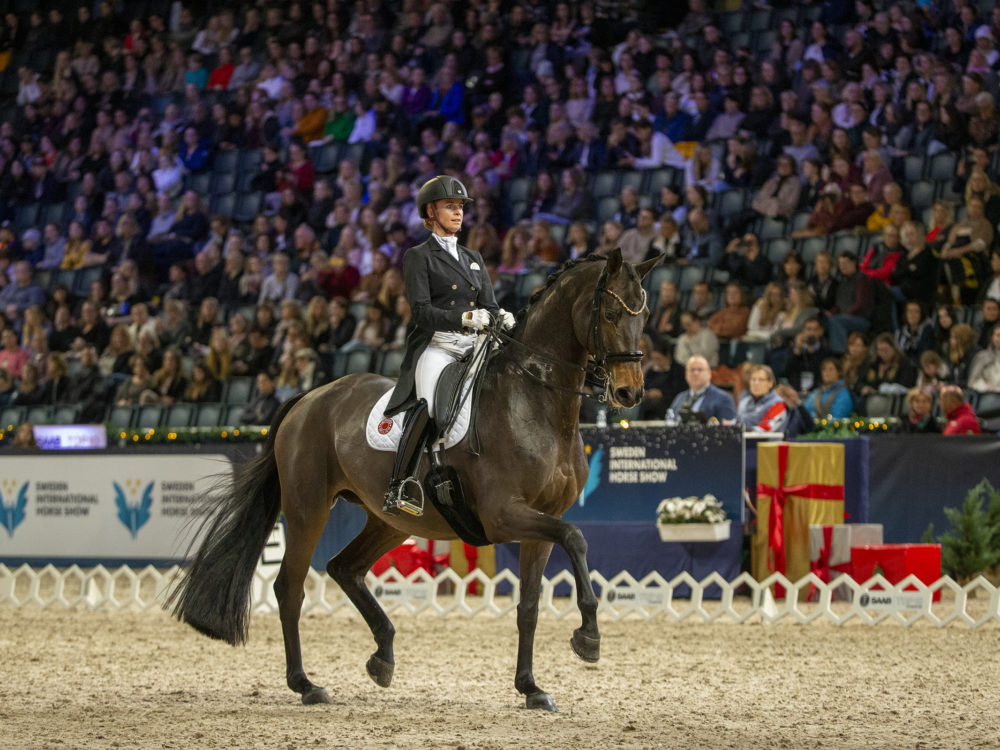 Dancing Dalera gewinnt auch die Kür der Sweden International Horse Show
