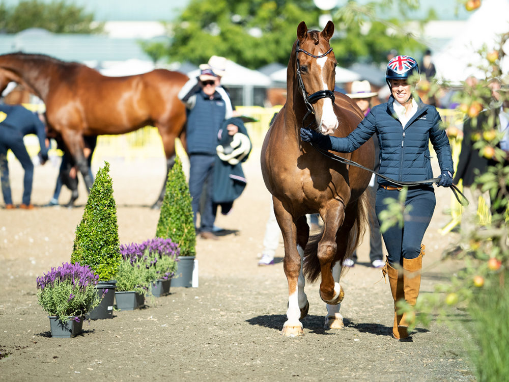 Charlotte Dujardin - Figure 1