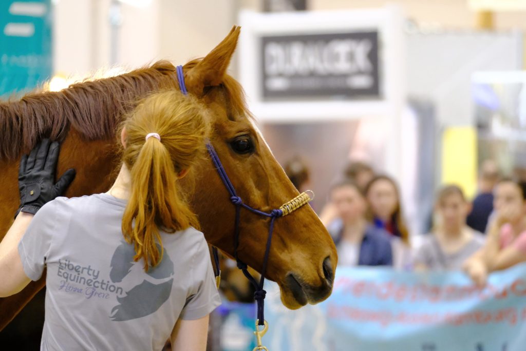 Hamburger Messe HansePferd wird eingestellt