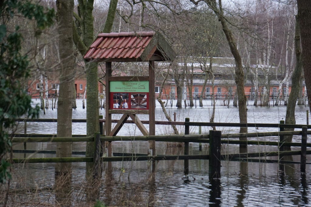 The Flood Situation in Lower Saxony and Bremen: 73 Horses Evacuated from Knee-Deep Water