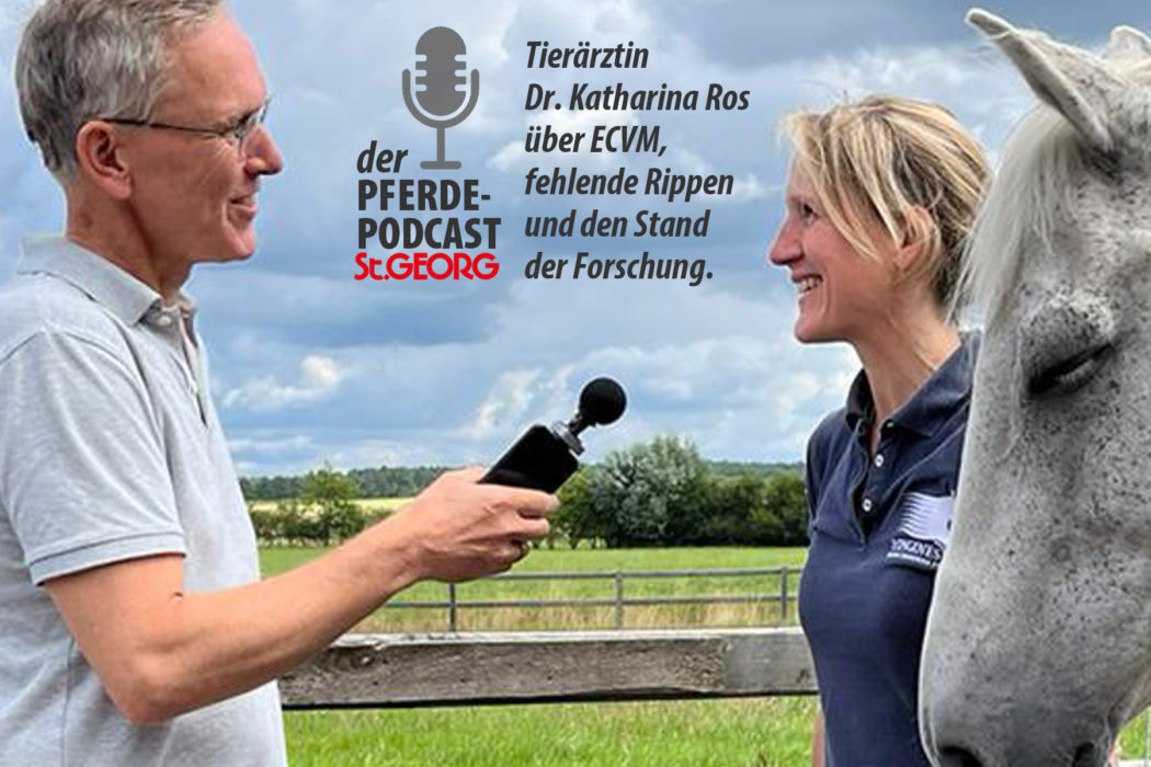 der PferdePodcast Tierärztin Dr. Katharina Ros zu ECVM