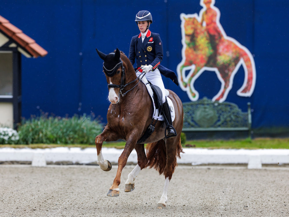 Horses and Dreams 2024 Der nächste Sieg für Charlotte Dujardin im CDI